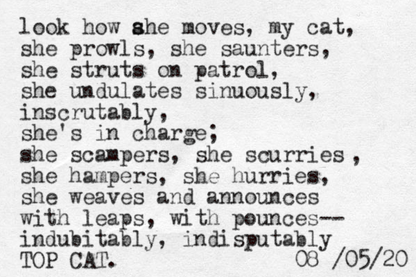 look how ahe s s moves, my cat, she prowls, she saunters, she struts on patrol, she undulates sinuously, inscrutably, she's in charge; she scampers, she scurries she hampers, she hurries, she weaves and announces with leaps, with pounces-- indubitably, indisputably TOP CAT. 20 / 05 / 08 , 