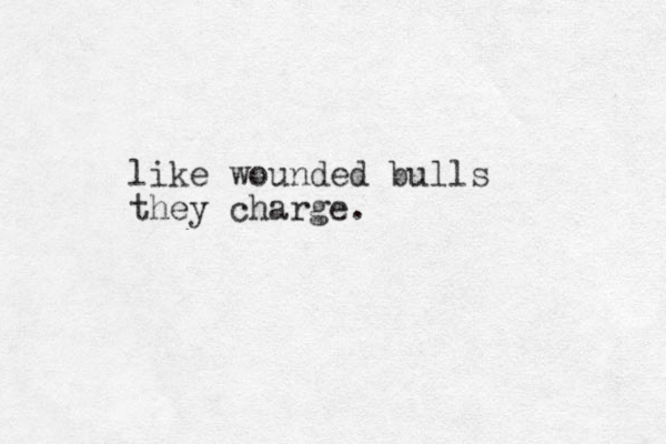 like wounded bulls they charge.