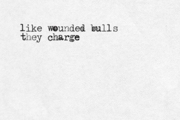 like wounded bulls they charge