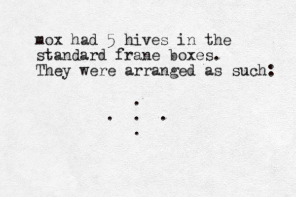 mox had 5 hives in the standard frane boxes. They were arranged as such: . . . . . 