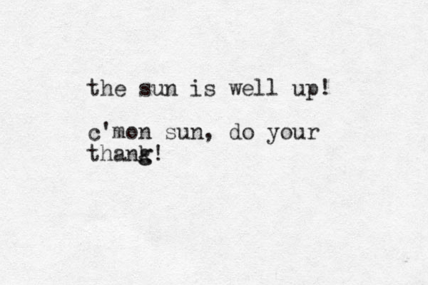 the sun is well up! c'mon sun, do your thank g g!
