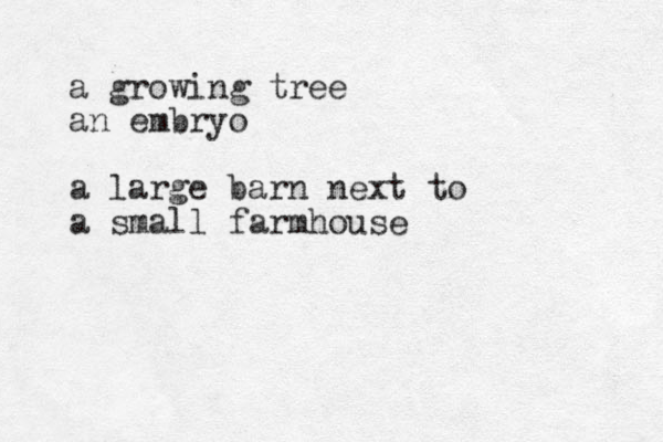 a growing tree an embryo a large barn next to a small farmhouse 