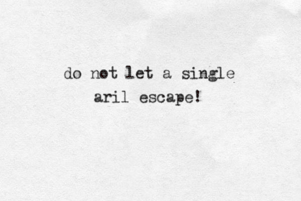 do not let a single aril escape!