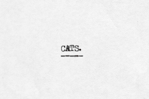 CATS. ----- 