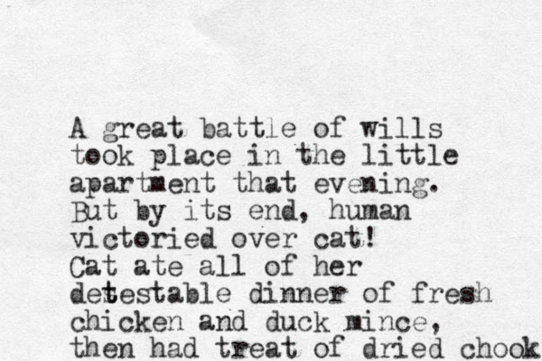 A great battle of wills took place in the little apartment that evening. But by its end, human victoried over cat! Cat ate all of her des t testable dinner of fresh chicken and duck mince, then had treat of dried chook 