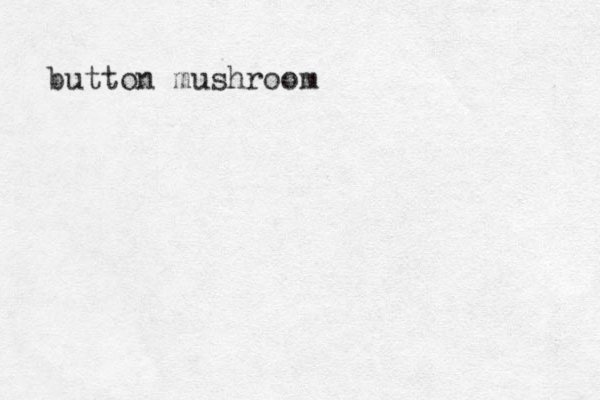button mushroom