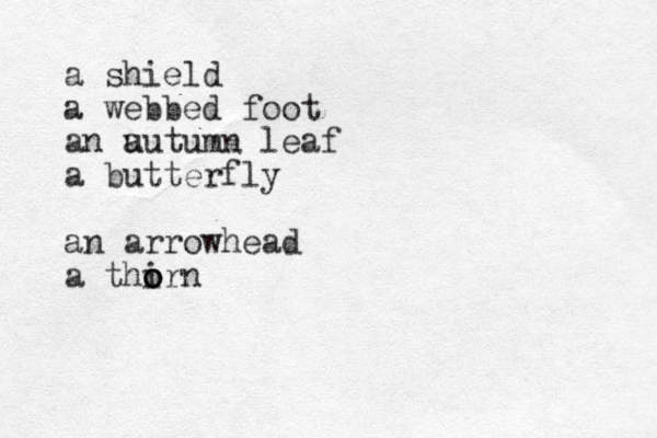 a shield a webbed foot an u autumn leaf a butterfly an arrowhead a thirn o o o