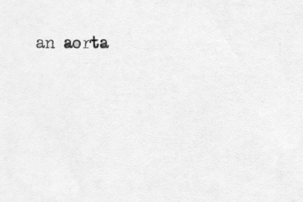 an aorta
