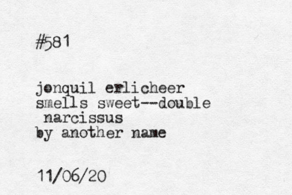#581 jonquil erlicheer smells sweet--double narcissus by another name 11/06/20