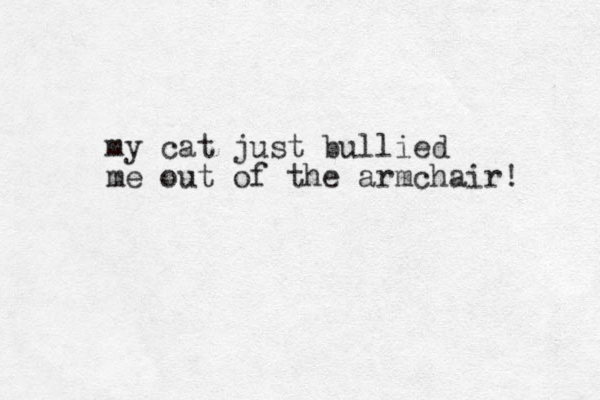my cat just bullied me out of the armchair! 
