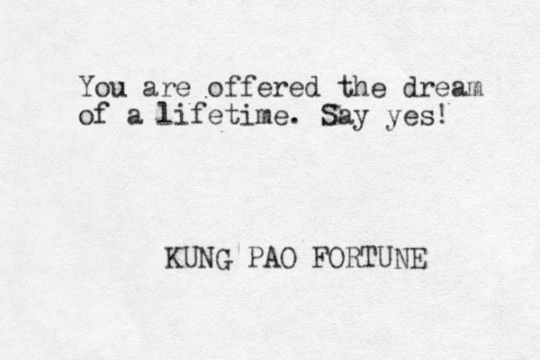 You are offered the dream of a lifetime. Say yes! KUNG PAO FORTUNE