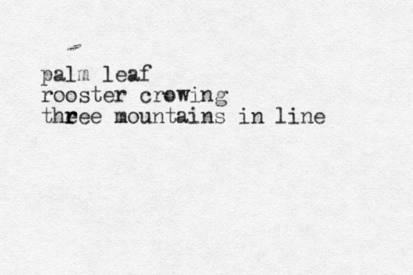 palm leaf rooster crowing theee r r mountains in line 