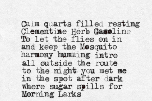Calm quarts filled resting Clementine Herb Gasoline To let the flies on in and keep the Mosquito harmony humming intro all outside the route to the night you met me in the spot after dark where sugar spills for Morning Larks