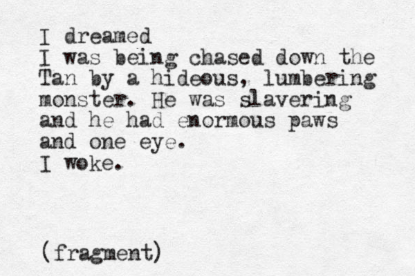 I dreamed I was being chased down the Tan by a hideous, lumbering monster. He was slavering and he had enormous paws and one eye. I woke. (fragment)