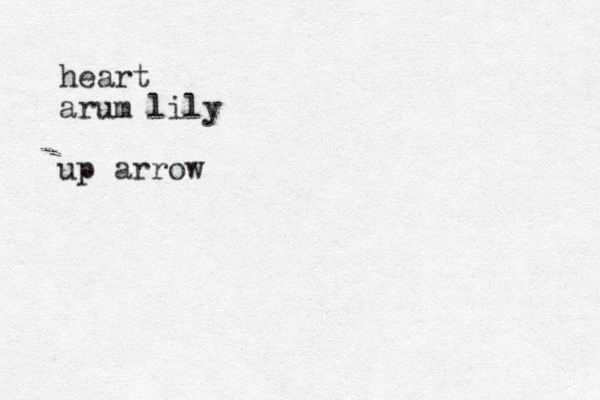 heart arum lily up arrow