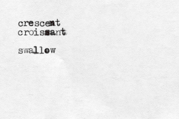 crescent croissant swallow
