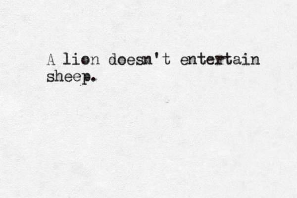 A lion doesn't entertain sheep. 