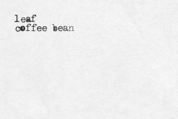 leaf coffee bean