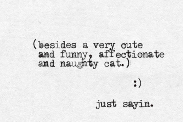 (besides a very cute and funny, affectionate and naughty cat.) :) just sayin. 