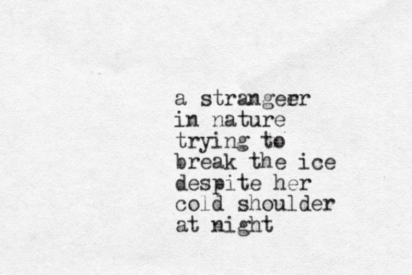 a strangee rr in nature trying to break the ice despite her cold shoulder at night