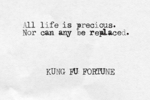 All life is precious. Nor can any be replaced. KUNG FU FORTUNE 