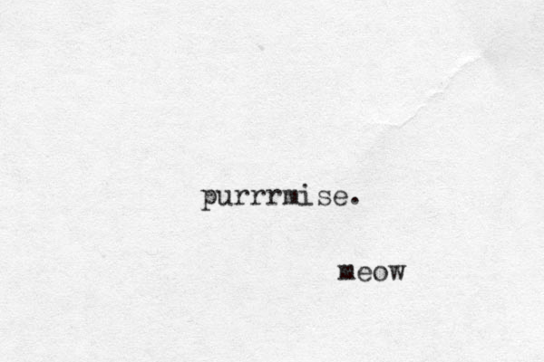 purrrmise. meow