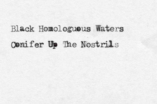 Black Homologuous Waters Conifer Up The Nostrils 