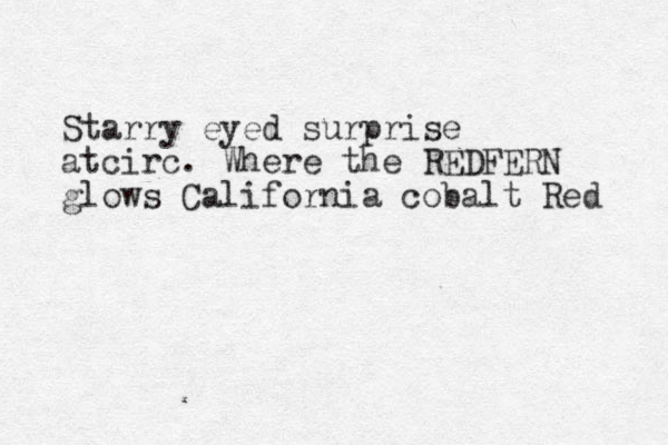 Starry eyed surprise atcirc. Where the REDFERN glows California cobalt Red 