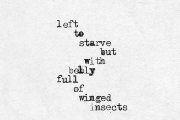 left to starve but with b b elly full of winged insects