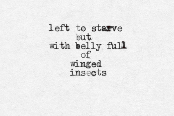 left to starve but with belly full of winged insects