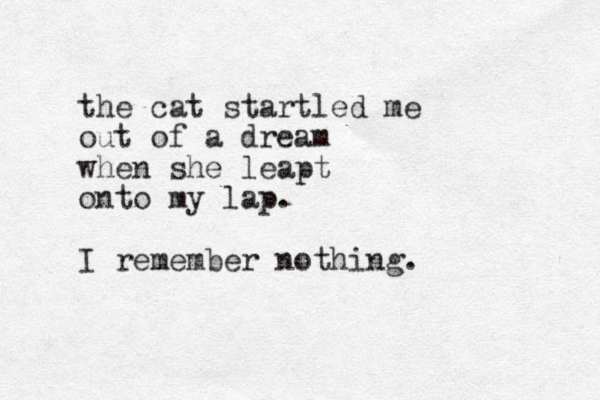 the cat startled me out of a dream when she leapt onto my lap. I remember nothing. 
