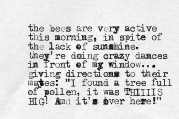 the bees are very active this morning, in spite of the lack of sunshine. they're doing crazy dances in front of mg y y window... giving directions to their mayes t t : "I found a tree full of pollen, it was THIIIIS BIG! Amd it's i o over here!" 