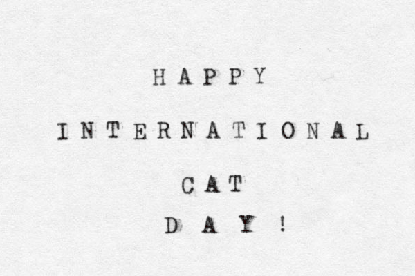 H A P P Y I N T E R N A T I O N A L C A T D A Y ! 