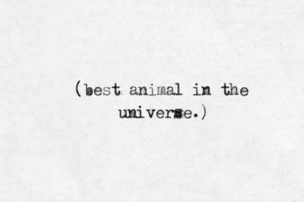 (best animal in the universe.)