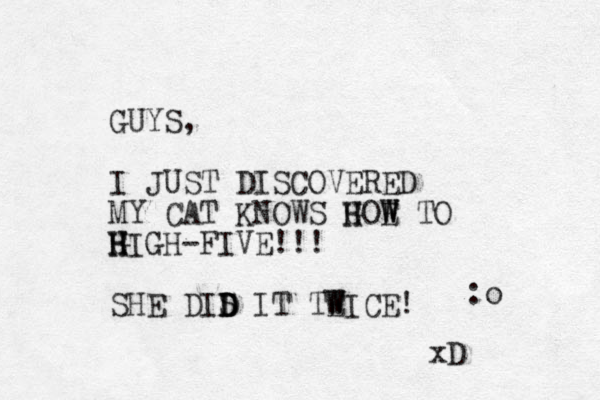 GUYS, I JUST DISCOVERED MY CAT KNOWS G H HOE W W TO G H H HIGH-FIVE!!! SHE DIS IT D D D TEICE W W ! :o xD 