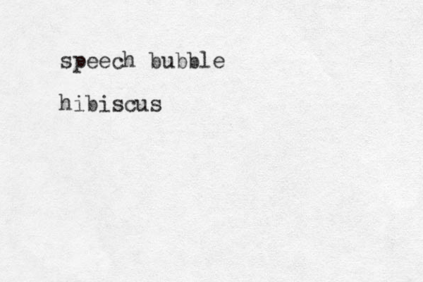 speech bubble hibiscus