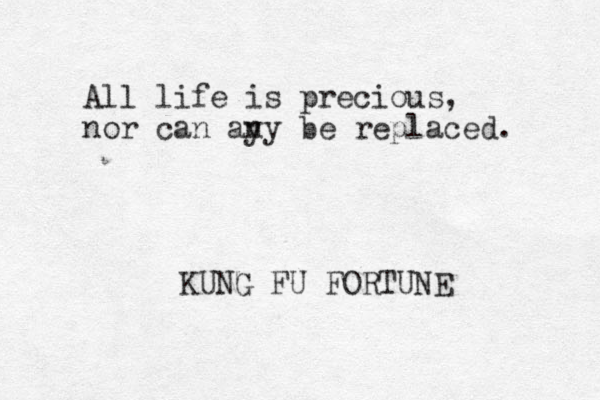 All life is precious, nor can ay ny be replaced. KUNG FU FORTUNE 