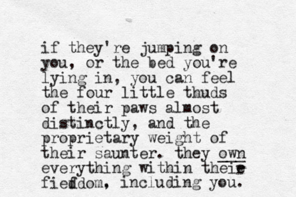 if they're jumping on you, or the bed you're lying in, you can feel the four little thuds of their paws almost distinctly, and the proprietary weight of their saunter. they own ___ everything within theie fieddom. f r , including you. 