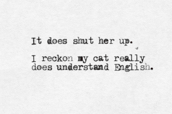 It does shut her up. I reckon my cat really does understand English. 