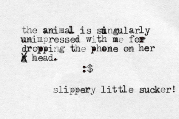 the animal is su i ingularly unimpressed with me for dropping the phone on g h \ / head. :$ slippery little sucker! her 