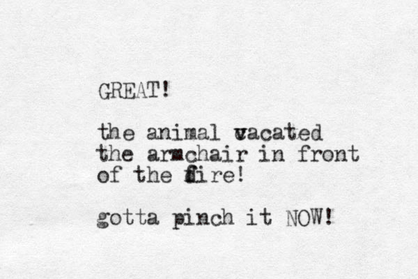 GREAT! the animal c v vacated the armchair in front of the d f fire! gotta pinch it NOW! 