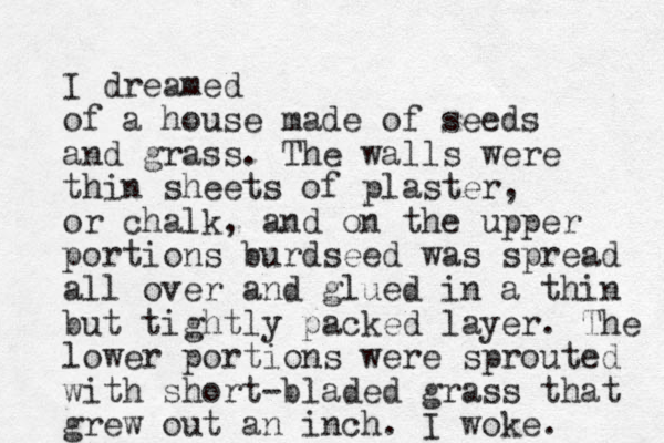 I dreamed of a house made of seeds and grass. The walls were thin sheets of plaster, or chalk, and on the upper portions burdseed was spread all over and glued in a thin but tightly packed layer. The lower portions were sprouted with short-bladed grass that grew out an inch. I woke. 