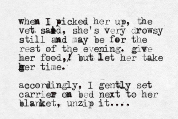 when I picked her up, the vet saod i i , she's very drowsy still and may be for the rest of the evening. give her food,! / but let her take g h her time. accordingly, I gently set carrier on bed next to her blanket, unzip it.... 