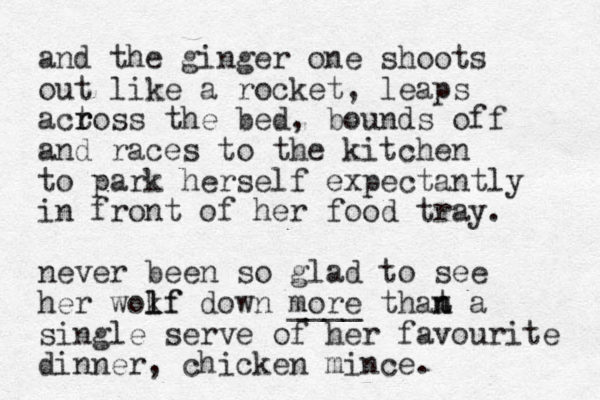 and the ginger one shoots out like a rocket, leaps actoss the r r bed, bounds off and races to the kitchen to park herself expectantly in front of her food tray. never been so glad to see her wokf l lf down more that ____ n n a single serve of her favourite dinner, chicken mince. 