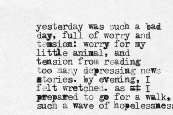 yesterday was such a bad day, full of worry and temsion: worry for my little animal, and tension from reading too many depressing news stories. by evening, I felt wretched. as ai == I prepared to go for a walk, such a wave of hopelessness 