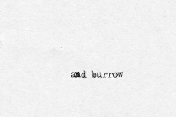 and burrow