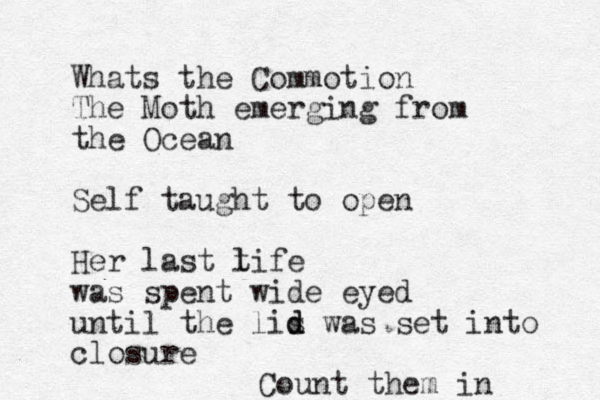 Whats the Commotion The Moth emerging from the Ocean Self taught to open Her last t life was spent wide eyed until the lis d d was set into closure Count them in