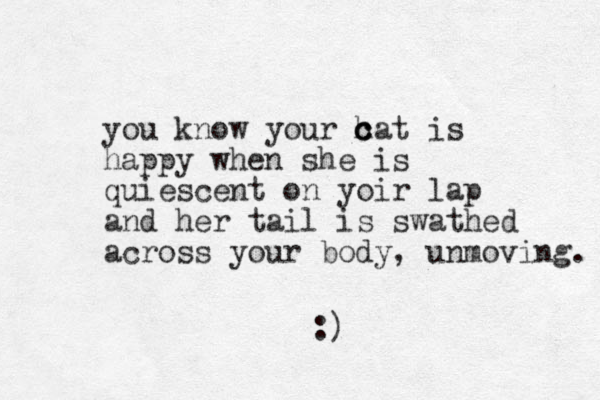you know your h cat is happy when she is quiescent on yoir lap and her tail is swathed across your body, unmoving. c c :) 