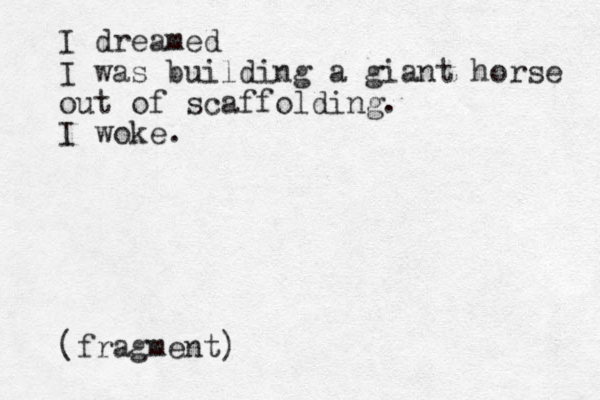 I dreamed I was building a giant horse out of scaffolding. I woke. (fragment)