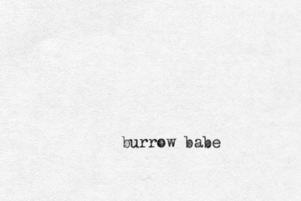 burrow babe 